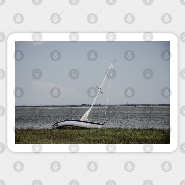 sailboat on the beach Sticker by LindsayVaughn